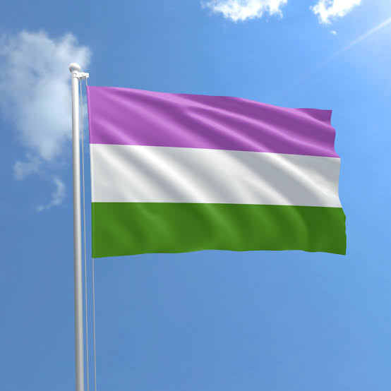 GENDER QUEER PRIDE FLAG