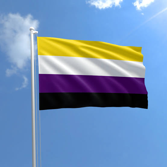 NON BINARY PRIDE FLAG 3X5