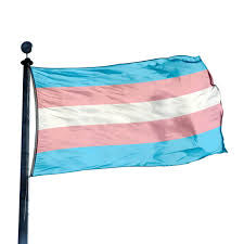 TRANS PRIDE FLAG 4X6