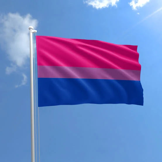 BI PRIDE FLAG 3X5