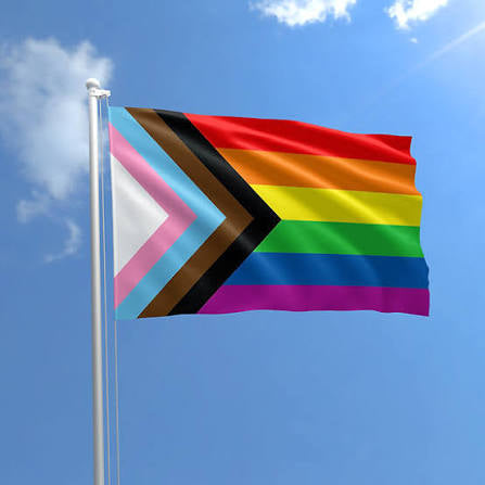 PROGRESS FLAG 3X5