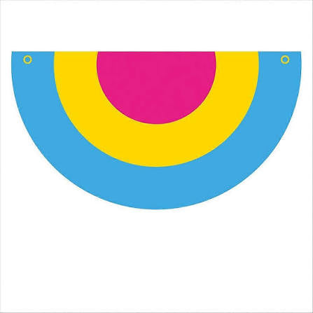PANSEXUAL PRIDE PENNANT