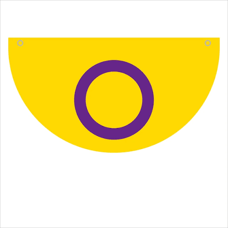 INTERSEX PRIDE PENNANT