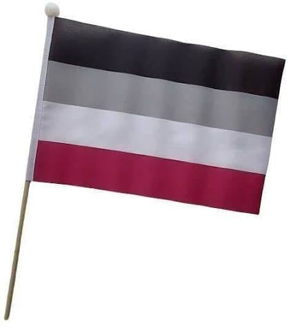A SEXUAL PRIDE HAND FLAG