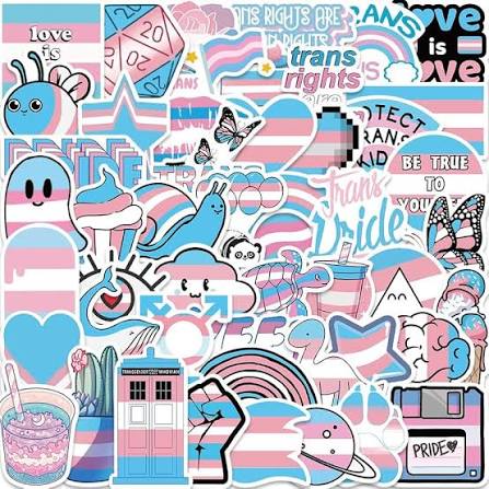 TRANS STICKERS